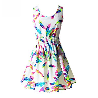 Daxin Women's Floral Chiffon Sleeveless Sundress Summer Tank Mini Dress S-XL