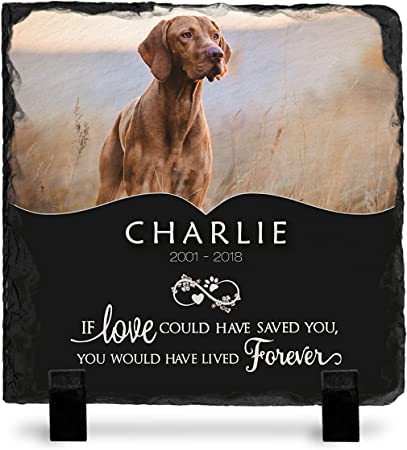 Brd Gifts Pet Memorial Stone with Photo - 7 Sizes - 6 Designs - Pet Grave Marker - Pet Headstone | Dog Memorial Stone - Garden Memorial Stones - Personalized Memorial | Waterproof & Weatherproof