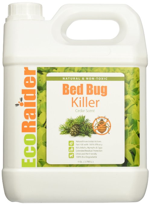 EcoRaider Bed Bug Killer Spray 1 Gallon Jug Green  Non-toxic 100 Kill  Extended Protection