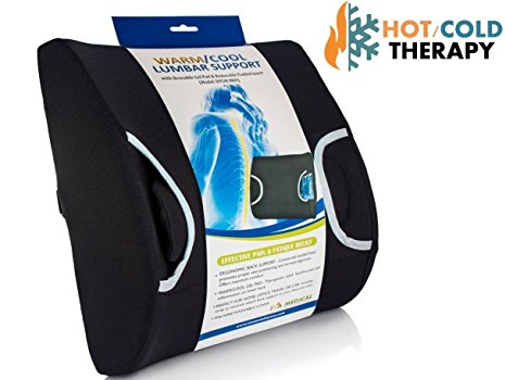 Eva Lumbar Back Support Cushion Pillow with Warm/Cool Gel Pad and Removable Firm Insert