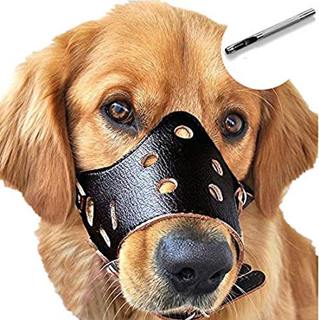 Barkless Dog Muzzle Leather, Comfort Secure Anti-Barking Muzzles for Dog, Breathable and Adjustable, Allows Drinking and Eating, Used with Collars