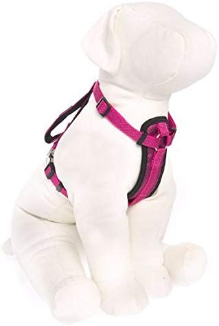 KONG Comfort Padded Harness Fuschia Small