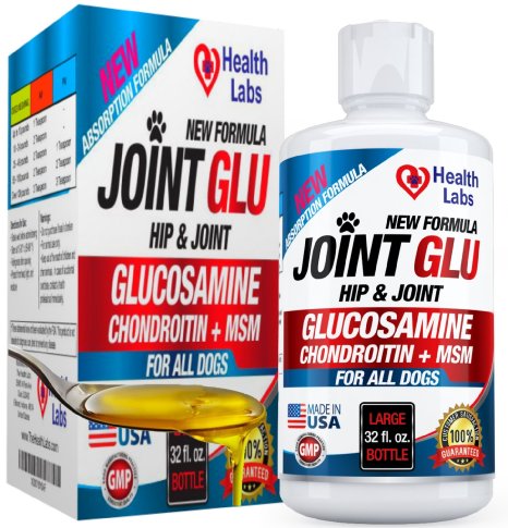 Best Liquid Glucosamine Chondroitin with MSM Nutritional Hip & Joint Supplement for Dogs Health - Aids Arthritis in Dogs - Great for Hip Dysplasia in Dogs - 100% GUARANTEE