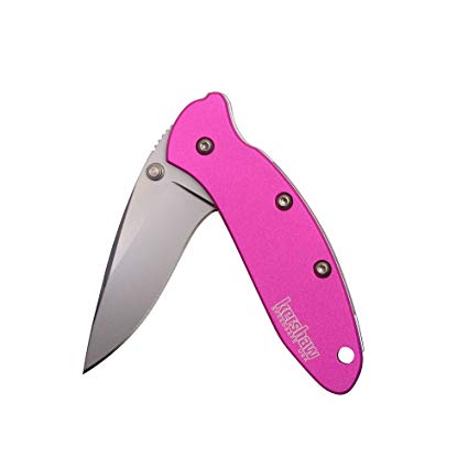 Kershaw Chive Pink Pocket Knife (1600PINK); 1.9” 420HC Steel Blade, Non-Reflective Bead-Blasted Finish, Jewel-Tone Pink Anodized Aluminum Handle, SpeedSafe Assisted Open, Liner and Tip Lock; 1.5 OZ