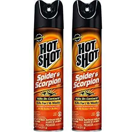 2-Pack Hot Shot Spider & Scorpion Killer