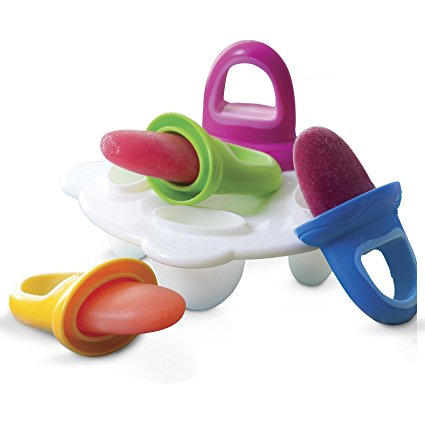 Nuby Garden Fresh Fruitsicles Frozen Purees Moulds