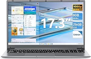 SGIN Laptop, 17.3 IPS Full HD Laptops Computer, 8GB RAM 256GB SSD Notebook with Celeron Processor, Webcam, Expandable Storage 1TB TF, 2xUSB 3.0, Mini HDMI(Gray)