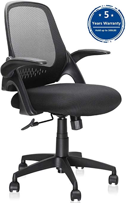 Ergousit Mid-Back Mesh Office Chair, Ergonomic Desk Chairs Swivel Computer Task Chairs with Adjustable Height and Flip-up Armrest - Lumbar Support and Sponge Cushion in Black (1919A-Black)