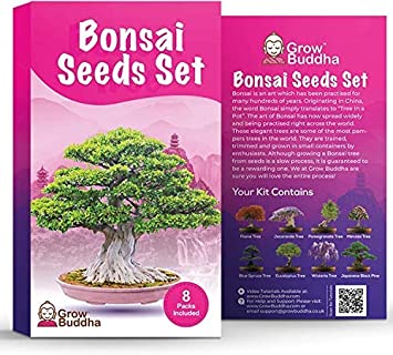 Bonsai Tree Seeds Gift Set by Grow Buddha - Grow Your Own Bonsai Tree Easily with Our 8 Bonsai Tree Seeds Set. Beginner to Expert Level - Unique Seeds Kit Gift Idea