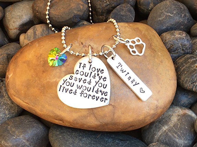 If Love Could've Saved You You Would've Lived Forever Pet Memorial Necklace | Pet Memorial Jewelry | Rainbow Bridge Jewelry | Pet Sympathy Gift | Pet Remembrance Jewelry | Pet Keepsake Jewelry