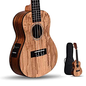 Kadence Acoustica Series Semi Acoustic Ash Wood with Fluorocarbon strings Equalizer A-06 (Ukulele)