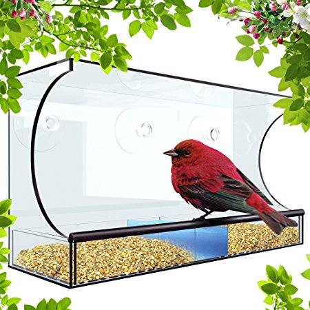 Window Bird Feeder For Outside - XL 5 Inch Opening For Cardinal, Blue Jay and Bird Variety - Squirrel Proof When Placed High - With 3 Bonus Heavy Duty Hook Suction Cups