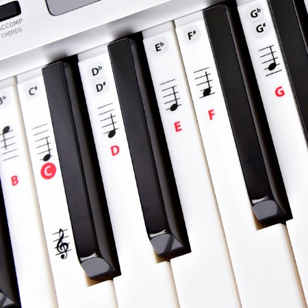 Best Piano Learning Key and Note Keyboard Stickers for Adults & Children's Lessons, FREE E-BOOK, Great with Beginners Sheet Music Books, Recommended by Teachers to Learn to Play Keys & Notes Faster!
