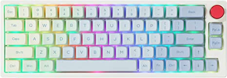 EPOMAKER TH66 60% Hot Swappable RGB 2.4Ghz/Bluetooth 5.0/Wired Mechanical Keyboard with MDA PBT Keycaps, 2200mAh Long-Lasting Battery, Knob Control for Mac/Win(Epomaker Flamingo Switch)