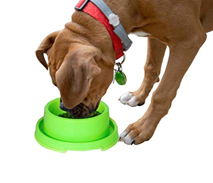 PetLike Plastic Dog Bowls, Pet Feeding Bowl for Cat Puppies Anti Ants Water Food Feeder Dish