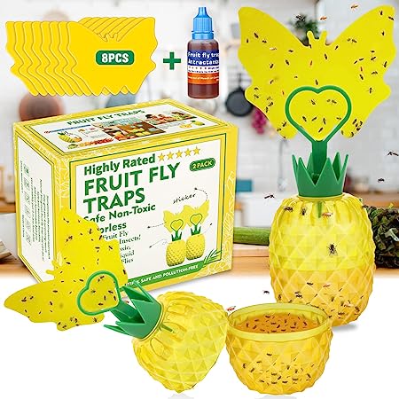 Fruit Fly Traps with 8Pcs Sticky Pads,Gnat Traps with Bait Non-Toxic Fruit Fly Traps for Indoors Outdoor Odorless Safe Fly Catcher Gnat Fruit Flies Trap Fly Insect Trap for Plant House Kitchen,2 Pack