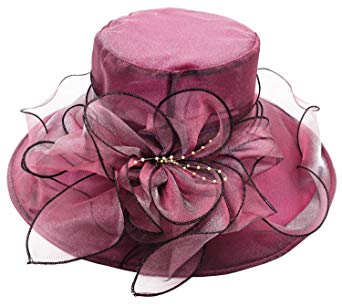 Womens Ladies Organza Church Wide Brim Tea Party Wedding Hat Fancy Kentucky Derby Fascinator Cap