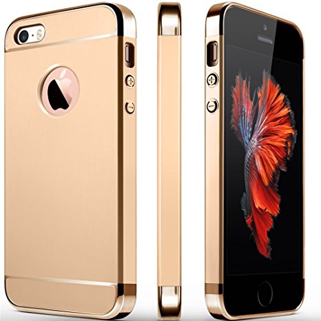 iPhone 5S Case, iPhone 5 Case, iPhone SE Case, COOLQO 3in1 Ultra-thin Hard Matte Finish Plastic [Tempered Glass Screen Protector] Shockproof Electroplate Cover Skin for Apple iPhone 5SE (Gold)