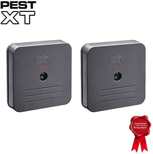 Battery Operated Ultrasonic Indoor Repeller, Targets Rats, Mice, Spiders & Small Pests Pest XT (Twin Pack)
