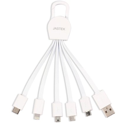 JASTEK Multi Charging Cable with Type C Connector,8pin Charging Connecter,Micro USB and Mini USB Connector (1 piece White)