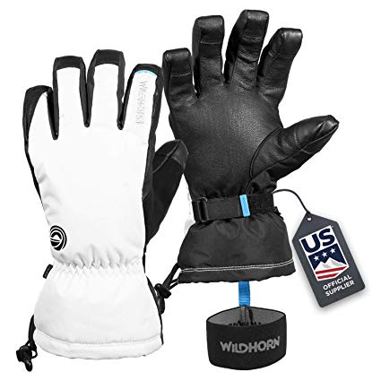 Wildhorn Tolcat Unisex Waterproof Leather Ski Gloves- Touchscreen Compatible