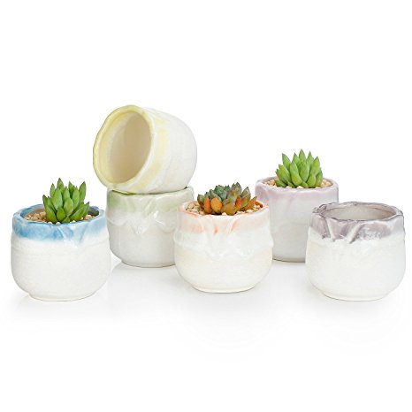 Greenaholics Succulent Plant Pots - 2.4 Inch Flowing Glaze Ceramic Pots, Small Cactus Planters, with Drainage Hole, Six Colors, Set of 6