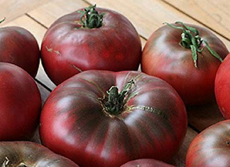 Cherokee Purple Tomato 4 Plants