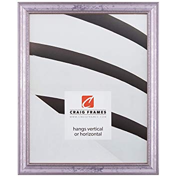 Craig Frames 314SI, Ornate Silver Picture Frame, 8.5 x 11 inch