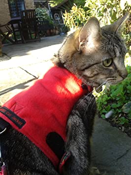 Mynwood Cat Jacket/Harness Red Fleece Adult Cat - Escape Proof