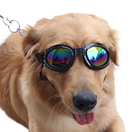 NACOCO Pet Glasses Dog Sunglasses Dog Glasses Golden Retriever Samoyed Sunglasses Goggles Big Dog Sunglasses