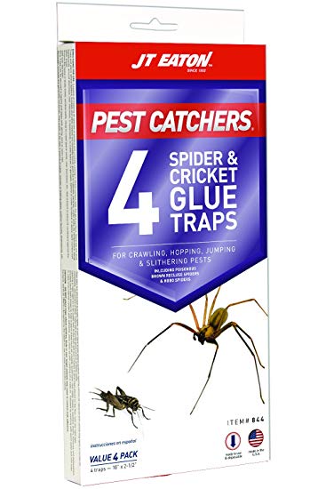 JT Eaton 844 Pest Catchers Large Spider and Cricket Size Attractant Scented Glue Trap, 4 Traps