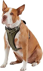 KONG Max Ultra Durable Neoprene Padded Chest Plate Dog Harness Offered by The Barker Company (Green, Medium)