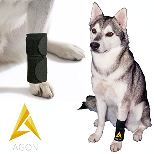 Agon Dog Canine Front Leg Brace Paw Compression Wraps With Protects Wounds Brace Heals and Prevents Injuries and Sprains Helps with Loss of Stability caused by Arthritis