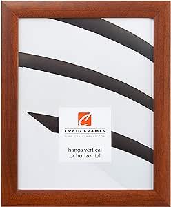 Craig Frames Contemporary, 18x36 Picture Frame, Honey Brown