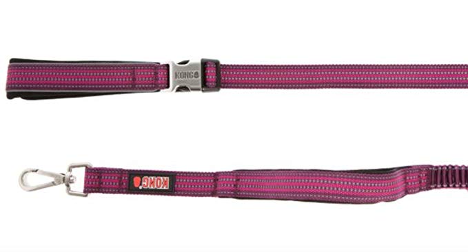 KONG offered by Barker Brands Inc. Traffic Handle Padded Bungee Leash