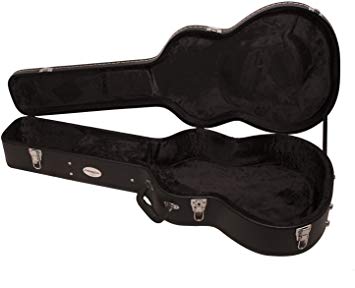 ChromaCast Acoustic Guitar Case (CC-CHC)
