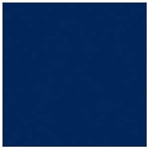 Rosco Roscolux Congo Blue, 20 x 24 inches Color Effects Lighting Filter