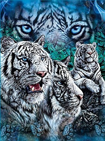 White Tigers Blue Super Soft Fleece Throw Blanket 50x60
