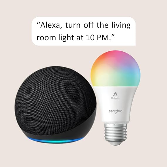 Echo Dot (5th Gen) | Charcoal with Sengled Smart Color Bulb