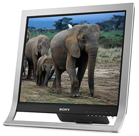 Sony XBrite SDM-HS95P/S 19" LCD Monitor (Silver)