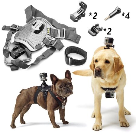 DeKaSi Adjustable Dog Harness Chest Mount for GoPro HERO4 Session /4 /3  /3 /2 /1 and SJ4000 SJ5000 SJ6000 Sports Camera Accessories Kit