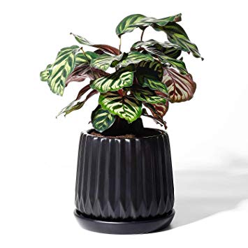 POTEY Plant Flower Pots Ceramic Planters - 4.7 Inch with Drain Hold Medium Container for Decor Indoor - Enough Space - Matte Black