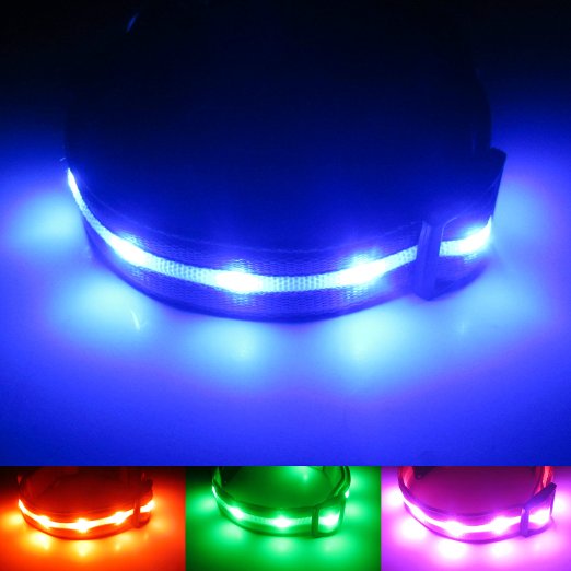 Blazin' Safety LED Dog Collar - USB Rechargeable with Waterproof Flashing Light