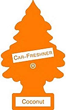LITTLE TREES Car Air Freshener | Hanging Paper Tree for Home or Car | Coconut | 12 Pack (Packaging May Vary)
