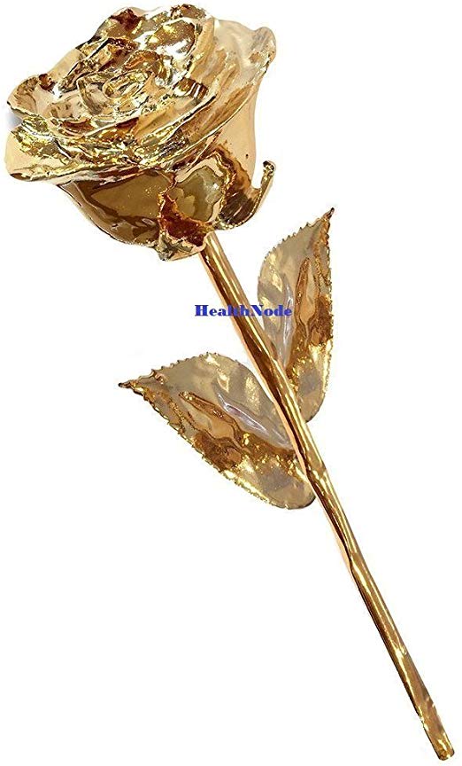 healthnode Real Rose Premium 24K Gold Dipped Rose in Beautiful Velvet Gift Box Best Unique Gift for Husband Wife Mom Dad Mother Valentines Day Wedding Anniversary Birthday Easter (11 Inches)