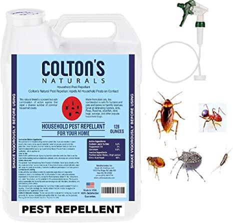 Home Pest Repellent Spray – Natural Pest Control – Useful Against House Roach, Spiders, Ants, Fleas – Fast Acting Pest Control Spray (1 Gallon)