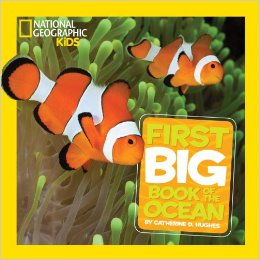National Geographic Little Kids First Big Book of the Ocean (National Geographic Little Kids First Big Books)