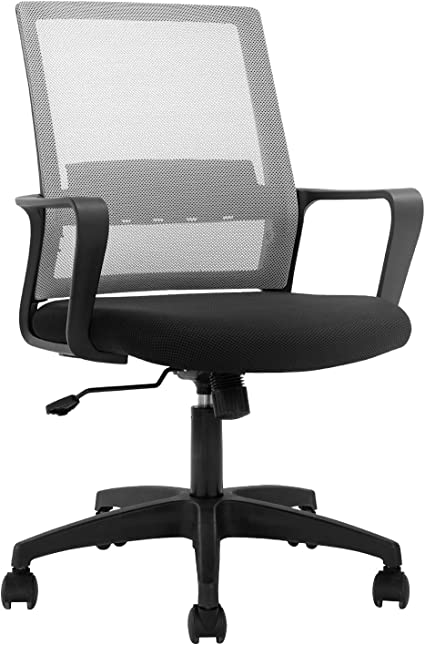 FDW Home Office Chair Ergonomic Desk with Lumbar Support Armrests Mid-Back Mesh Computer Executive Adjustable Rolling Swivel Task (Gray)