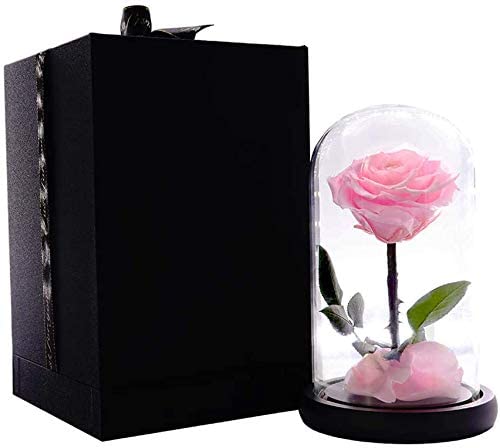 Preserved Roses Pink Roses Handmade Preserved Flower Real Rose in Glass Dome, Preserved Roses Never Withered Romantic Gifts for Her, Valentine's Day, Mother's Day, Birthday (9 inch, Pink)