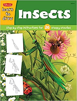 Learn to Draw Insects